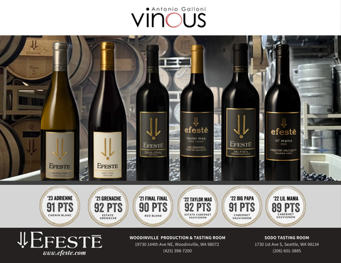 VINOUS Review Roundup